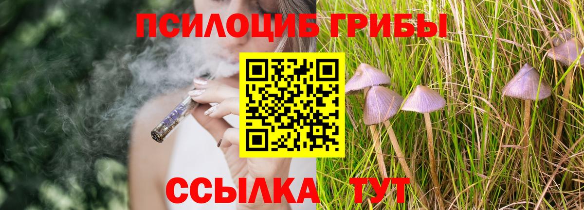 Бийск  Псилоцибиновые грибы GOLDEN TEACHER  Вход с VPN  Псилоцибиновые грибы Cubensis 