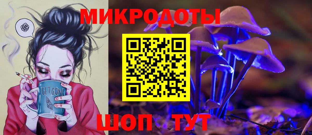 Псилоцибиновые грибы Psilocybine cubensis Бийск