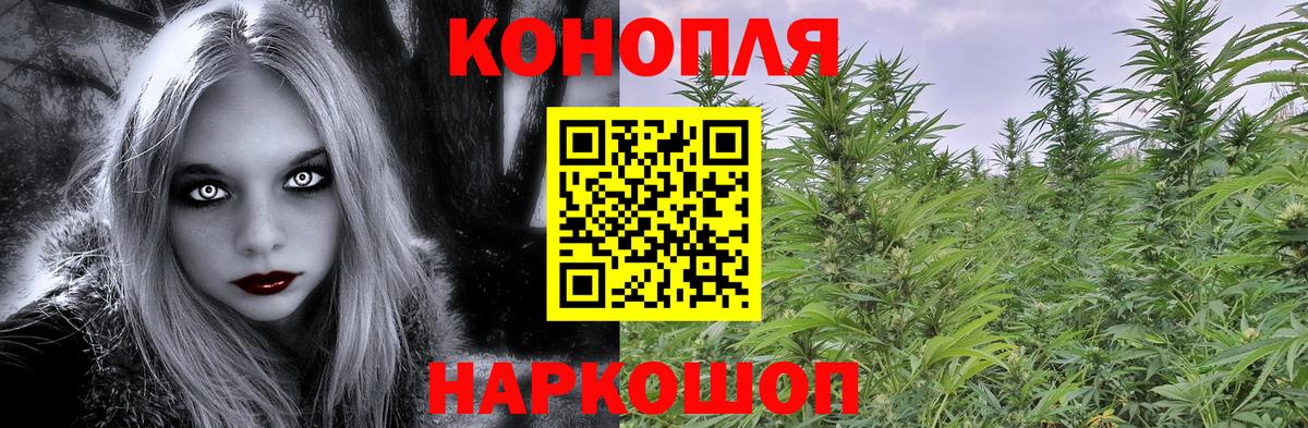 Бийск  Бошки марихуана семена  Вход с VPN  Конопля White Widow 
